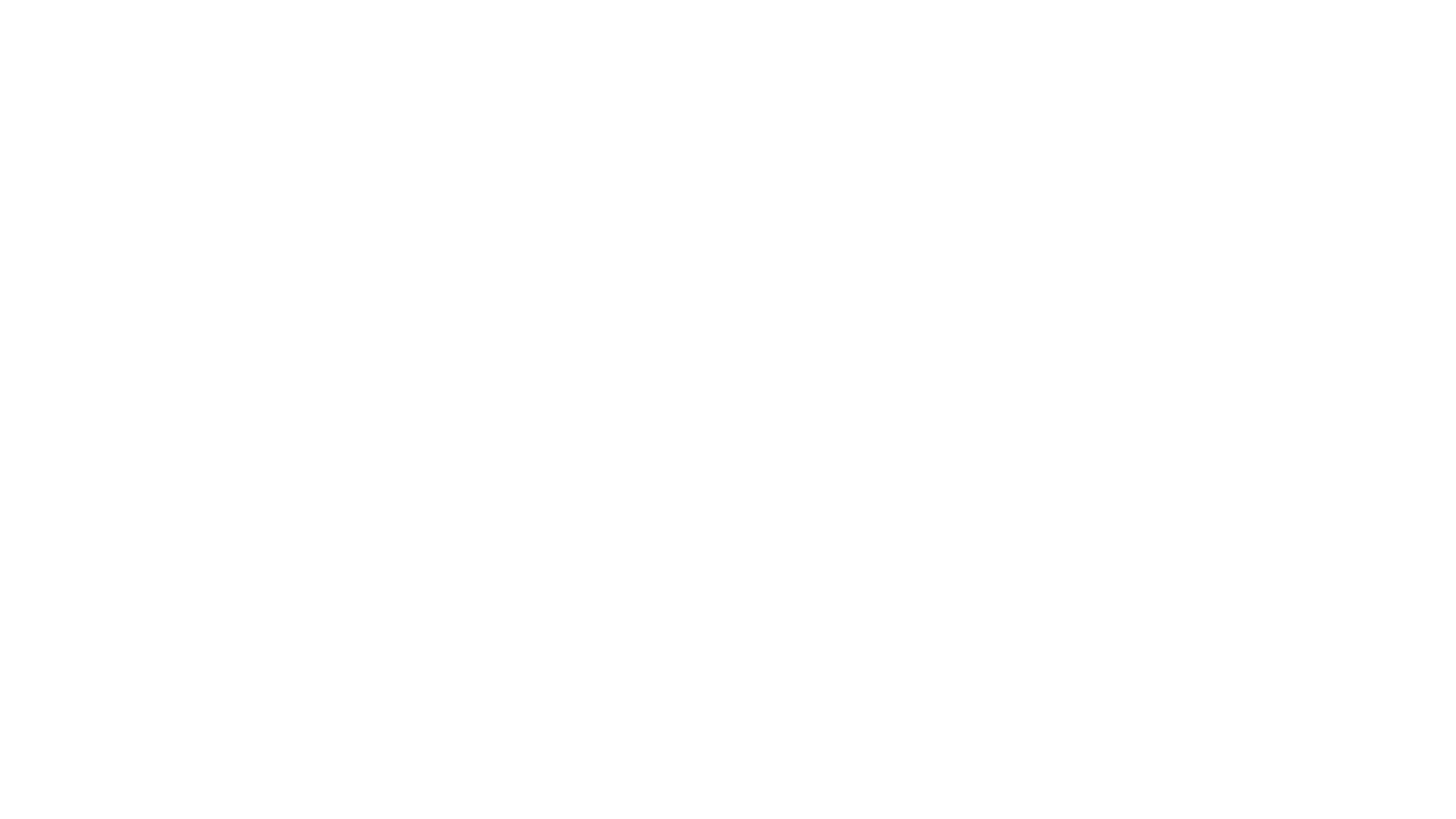 ALLIES MÉXICO
